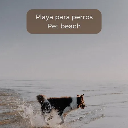 Chocolate Cookie- Piscina, Terraza Soleada, Cocina Completa Y Wifi * Corralejo