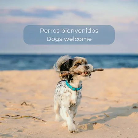 Chocolate Cookie- Ac, High Speed Internet, Desk With Natural Light, Sunny Terrace And Pool דירה *